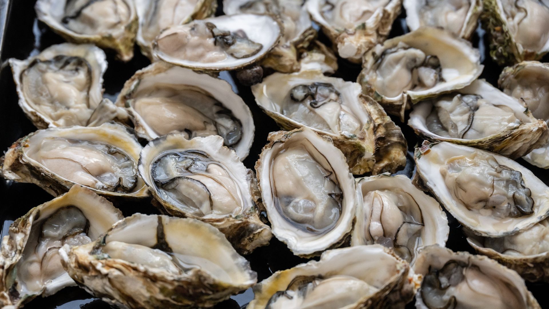 China's oyster-inspired 'bone glue' bonds fractures in minutes
