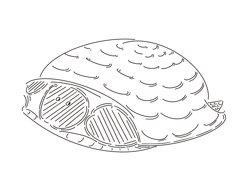 GPT4All – The Leading Private AI Chatbot for Local Language Models